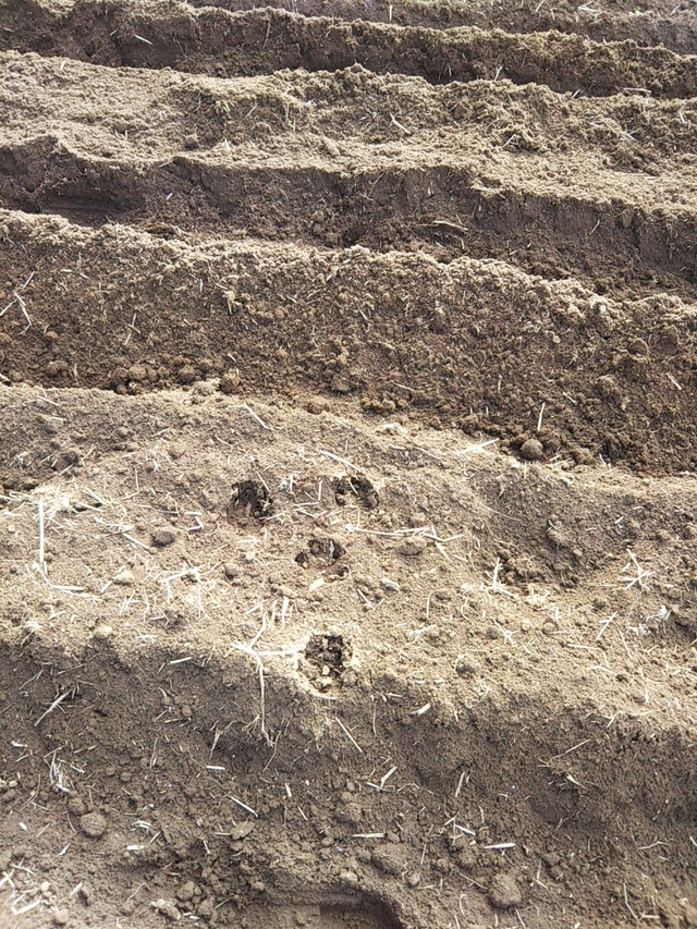 cameringo_2019-02-20 14.41.13