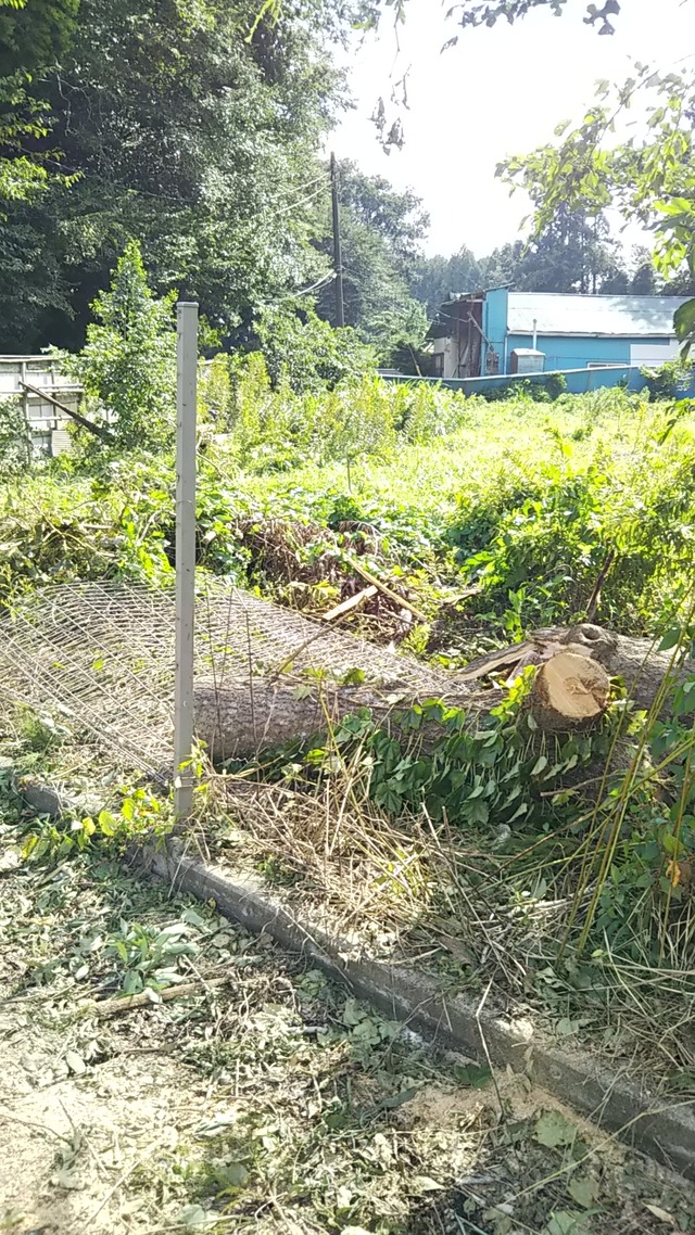 DSC_0416