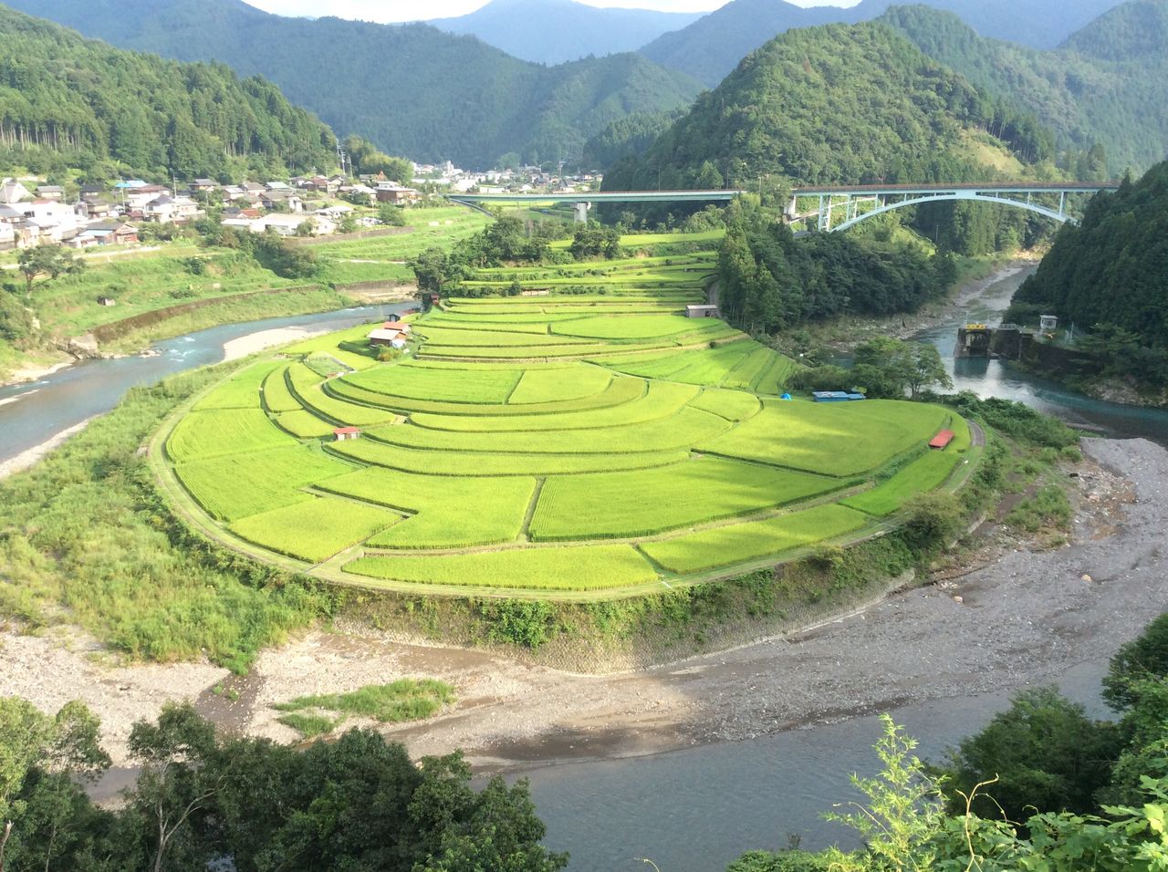 和歌山朝日夕陽百選 1 あらぎ島 Guusan313のきまぐれblog