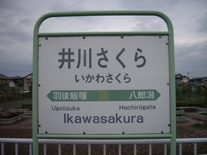 井川さくら駅 画像 地図