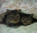 ǭ��DAY�Ȥפ��Ǥ�