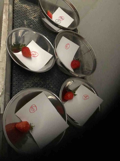 F7FA865C-2661-4078-B86E-0FA5149832D5