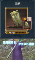 玉蝉