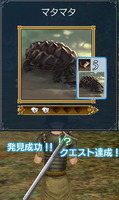 マタマタ