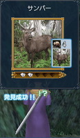 サンバー
