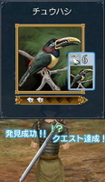 チュウハシ
