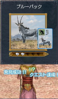 ブルーバックアフリカ南南西岸
