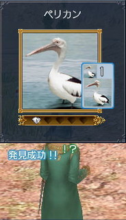 ペリカン