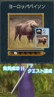 ヨーロッパバイソン