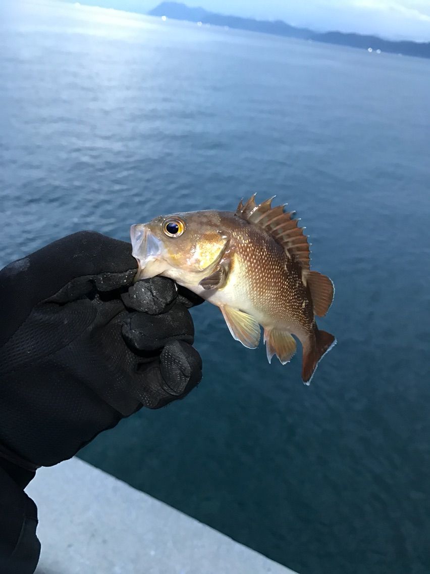 爆 虻田漁港と虻田漁港と有珠漁港 札幌美容師はなはらのハードボイルド日記2