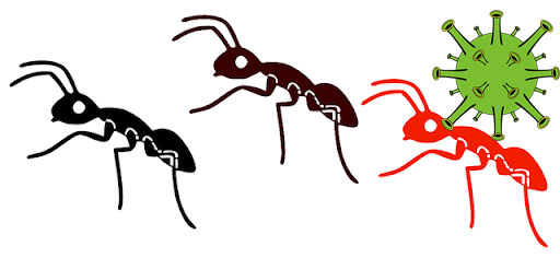 hard working virus