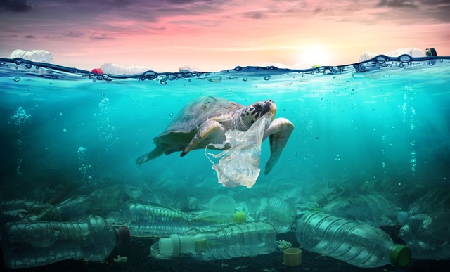 shutterstock_13194812361
