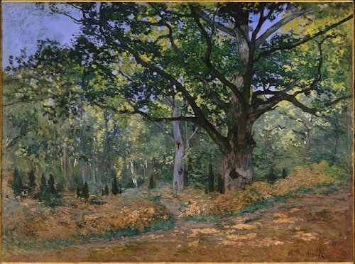 La quercia Bodmer nella foresta di Fontainbleau