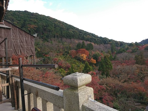 kouyu