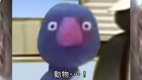 犬の十戒 私をたたかないで 本気になったら私のほうが強いことを忘れないで 逆に 犬の十戒 私をたたかないで 本気になったら私のほうが強いことを忘れないで 逆に