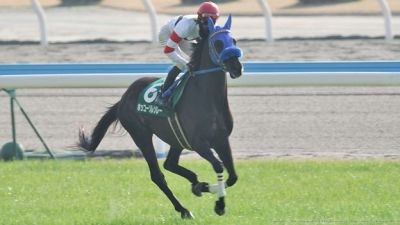 【競馬】　冠名ホッコーで3番目に思い浮かぶ馬といえば？　タルマエ→ブレーヴ→