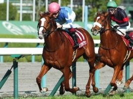 【競馬】　シュヴァルグラン福永騎手「馬って変わるよ。ジャスタウェイもそうだった。ハーツクライの成長力だね」