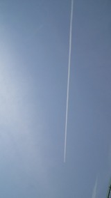 0f8c5200.jpg
