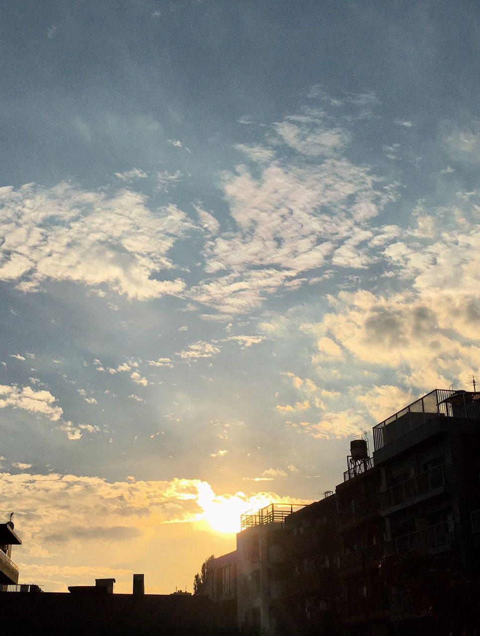 夕焼け小焼けで日が暮れてー7枚 スタジオかくてるず