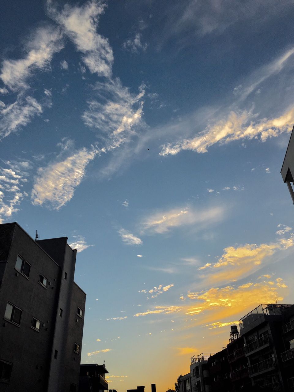 夕焼け小焼けで日が暮れてー7枚 スタジオかくてるず