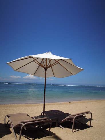 ¥µ¥Ì¡¼¥ë¤Î¥Ó¡¼¥Á