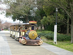 機関車 大阪城公園 6