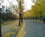 大阪城公園