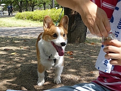 何してるの〜?