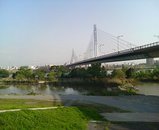 淀川