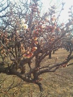 P2014_0125_110026