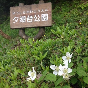 入り口
