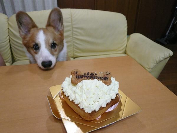 こ、これは!?