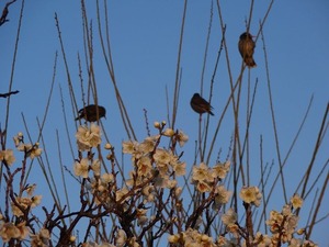 IMG_2119