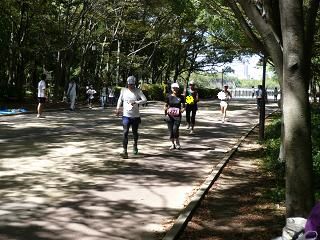 木陰は涼しい♪
