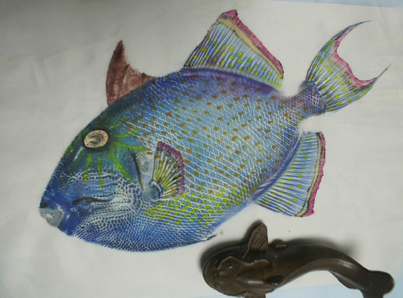 写真とカラー魚拓の展示室 イソカワハギ 沖縄の魚