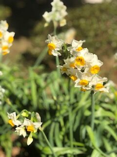 IMG_1596