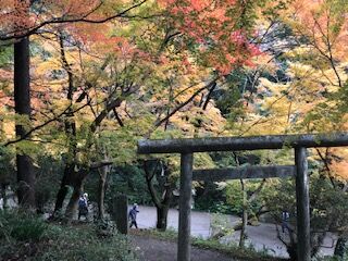 IMG_1474