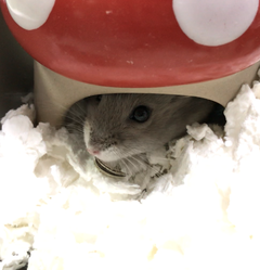 ブログ写真2