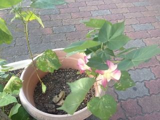 2014-09-14-12-00-10