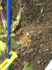 E1794078-C0F9-4304-85F4-3ABBC75C5D29