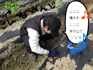 BlogPaint