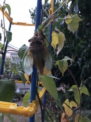 38A7C5C3-8268-4602-B535-38621A0ECCB6