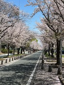 IMG_1936