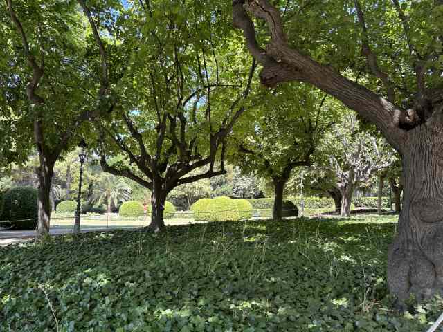 2026jun14Palau de Pedralbes (11)