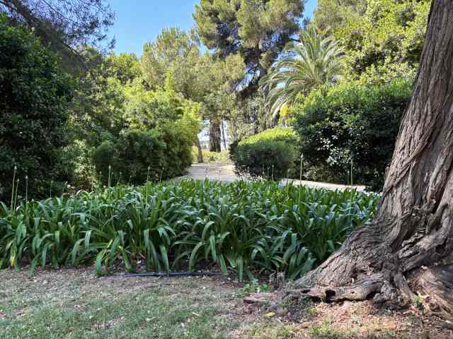 2026jun14Palau de Pedralbes (18)