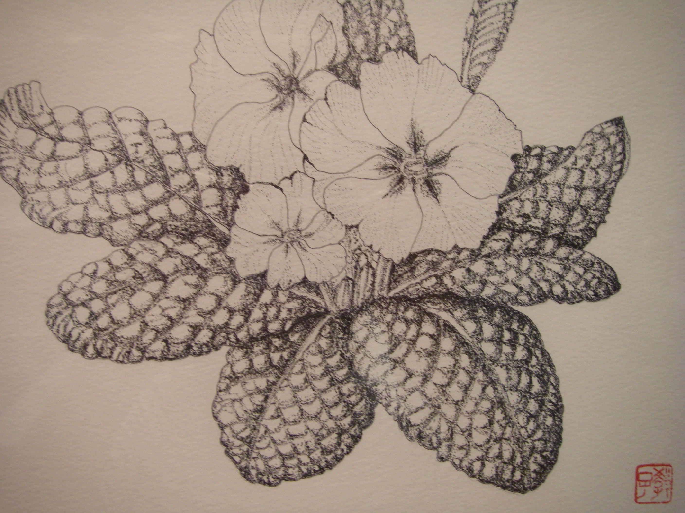 点描画 Botanical Art By Akico
