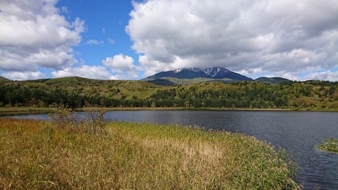 DSC_4314 (1)