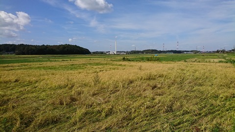 DSC_4113