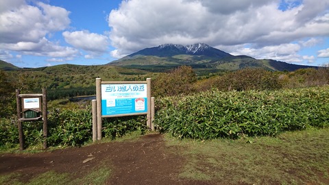 DSC_4307 (1)