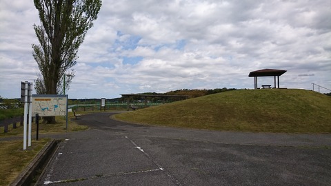 DSC_5583